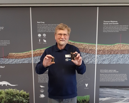 Volunteer Peter holding fossils at The Naze