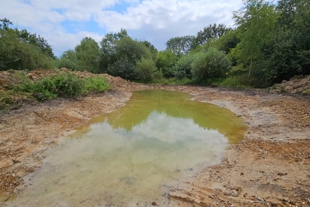 New pond created at Tiptree Heath 