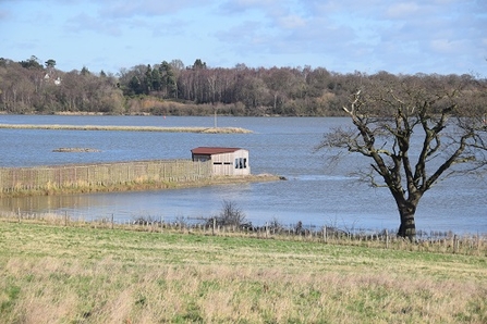 View from Fingringhoe Wick nature reserve