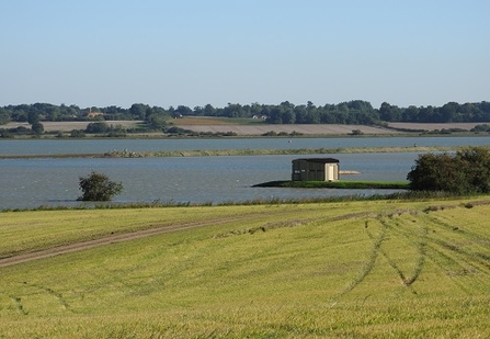 View from Fingringhoe Wick nature reserve