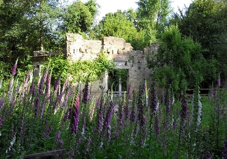 Warley Place nature reserve