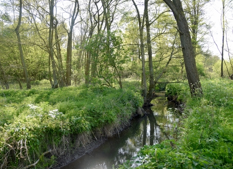 Roman River Valley 