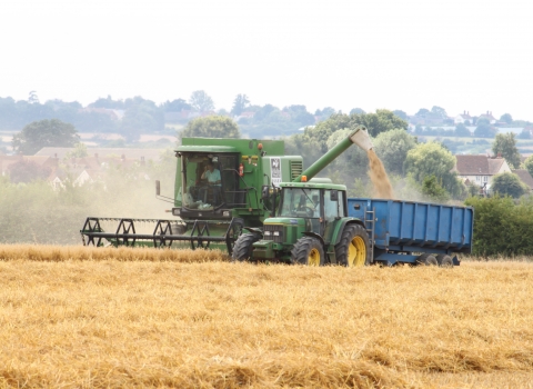 Abbotts Hall Farm 