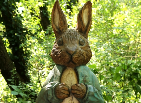 Peter Rabbit Woodland Trail