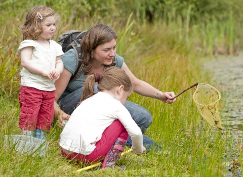 Family activities