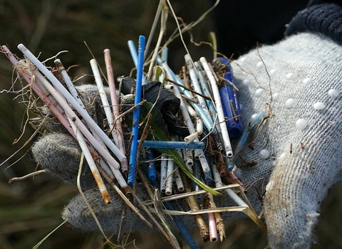 Plastic litter