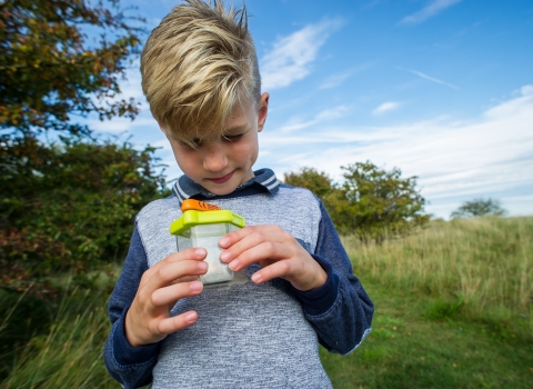 Child with bug pot