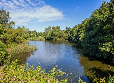 Fingringhoe Wick nature reserve