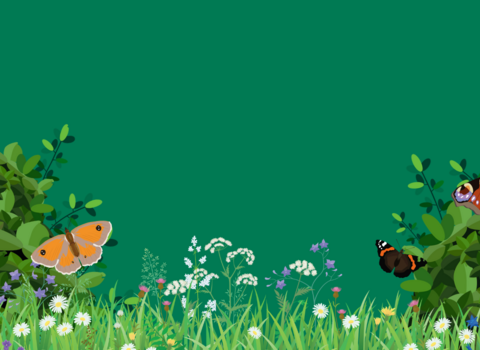 Butterfly garden graphic