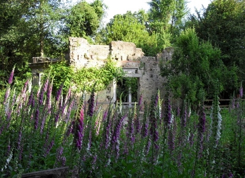 Warley Place nature reserve