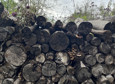 Log pile